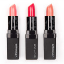 lipstick set3